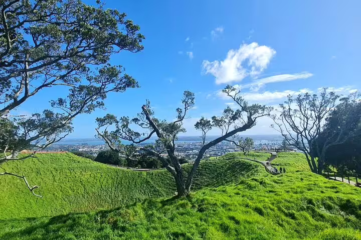 Lush greenery and trees atop Mount Eden offering panoramic views of Auckland, ideal for nature and hiking enthusiasts.