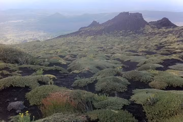 Lush green vegetation covering the rugged volcanic terrain of Mount Etna, offering a striking panoramic view.
