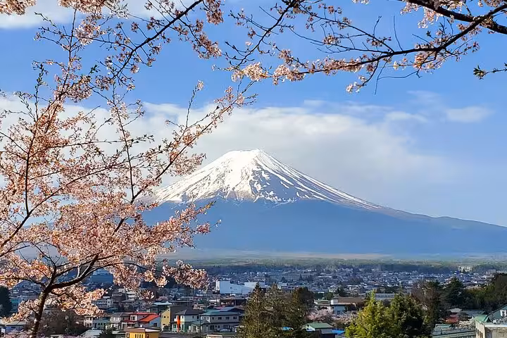 Close-up of Mount Fuji surrounded by cherry blossoms overlooking a vibrant city below.