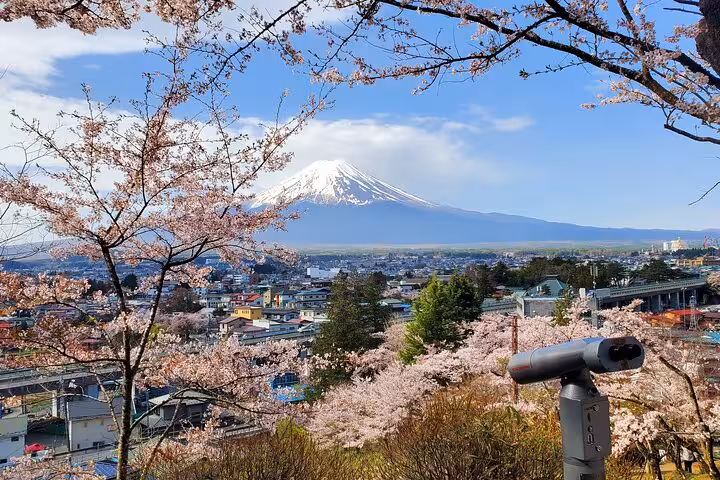 Scenic view of Mount Fuji framed by cherry blossoms with a telescope overlooking Tokyo cityscape.