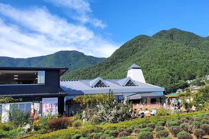 Charming mountain-side cafe surrounded by lush greenery near Mount Fuji, offering a cozy stop on a private Tokyo tour.