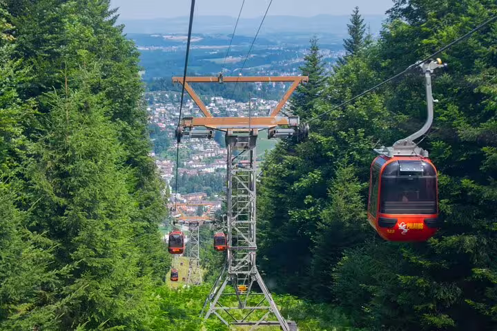 Scenic cable cars traveling through lush green forests with a view of Lucerne town from Mount Pilatus.