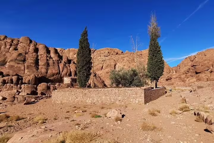 Stone wall and cypress trees near St. Catherine Monastery, Sinai Desert scenery on Mount Sinai tour