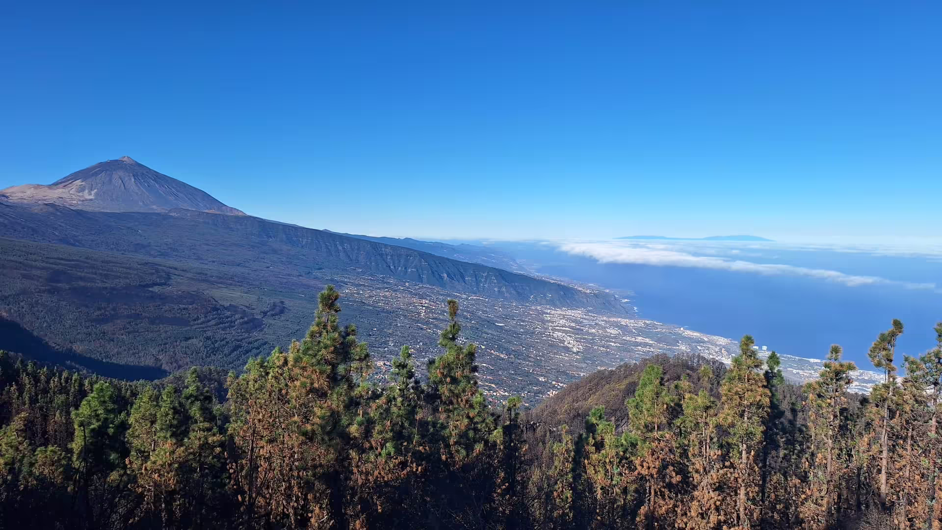 Panoramic view of Mount Teide and coastal scenery, ideal for private cruise tours in Tenerife.