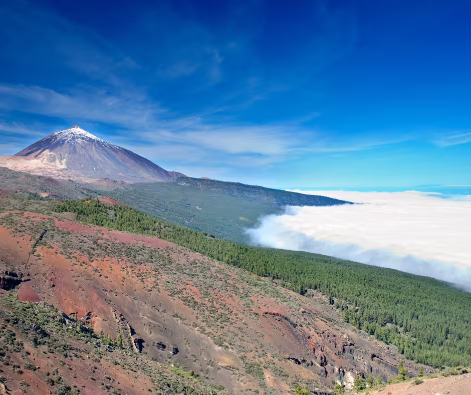 Scenic view of Mount Teide with lush forest and clouds under a bright blue sky on a Teide y Delfines tour day.