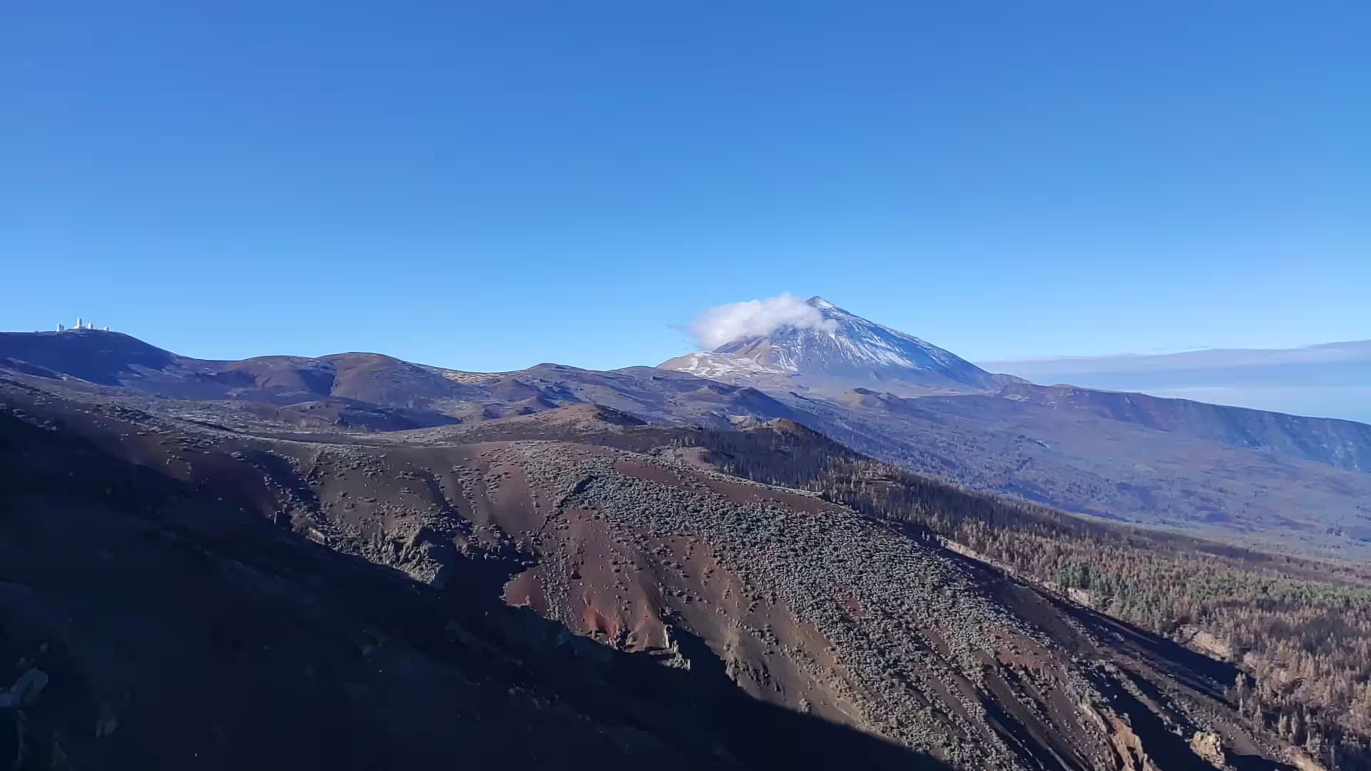 Volcanic landscape with Mount Teide in the distance, perfect for private cruise excursions in Tenerife.