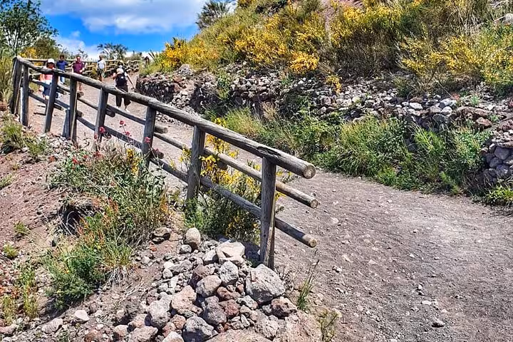 Scenic hiking trail on Mount Vesuvius with vibrant wildflowers and rustic wooden fencing lining the path.