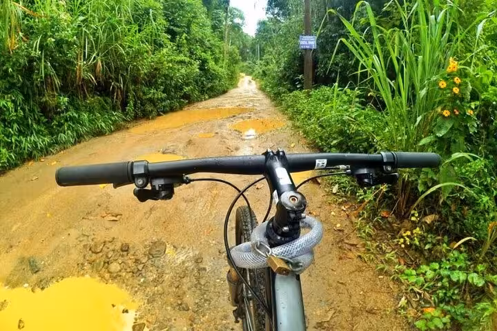 Mountain bike handlebar view on a muddy forest trail, showcasing the rugged terrain of Paraty Tours' cycling adventure.