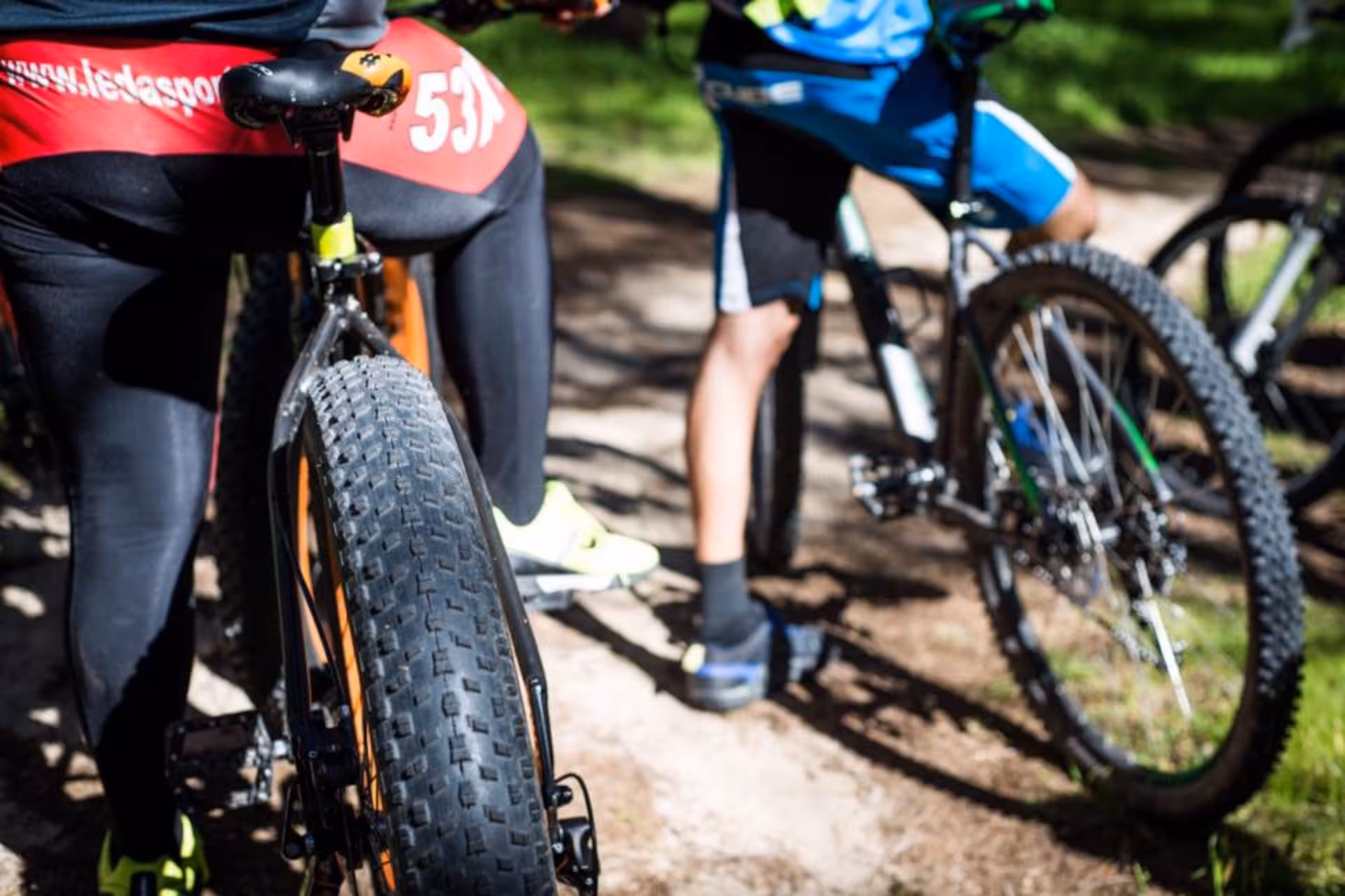 Close-up of mountain bikes on a forest trail during the Torregrande coast bike tour in Oristano.