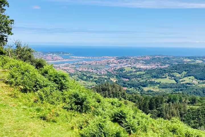 Breathtaking view of the coastline and cityscape from a verdant mountain vantage point, ideal for nature excursions.