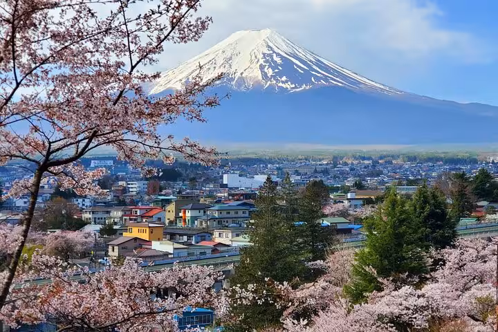 Scenic view of Mt. Fuji with cherry blossoms and a vibrant town in spring, perfect for a private Hakone tour.