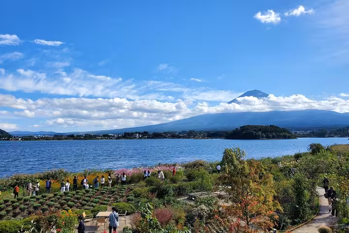 Tourists enjoying lush gardens by the lake with Mt. Fuji in the distance, part of a guided Hakone tour.