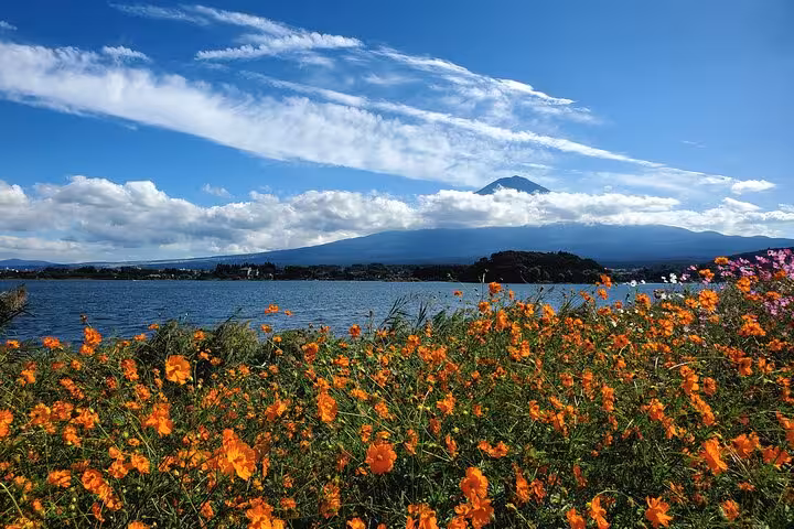 Vibrant orange flowers with Mt. Fuji and serene lake in the background on a clear day in Hakone.