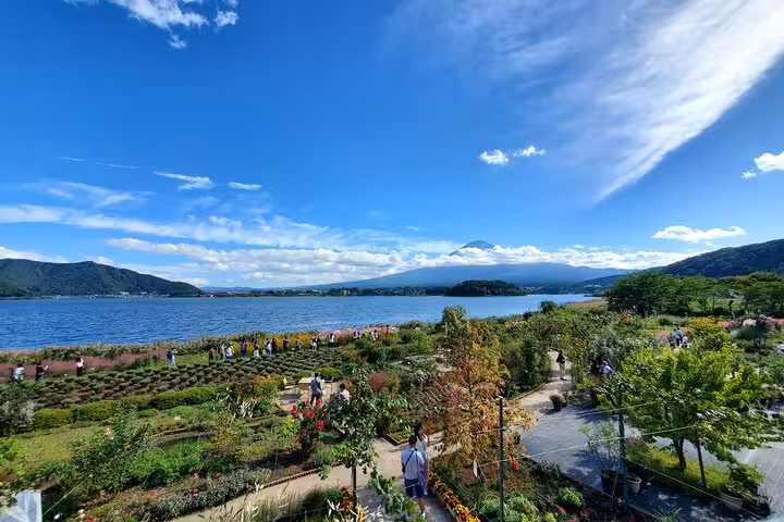 Scenic view of Mt. Fuji from lush gardens by Lake Kawaguchi on a clear day during a customizable private tour.