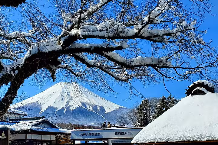 Snow-covered Mt. Fuji framed by branches, showcasing winter beauty on a custom Hakone private tour.