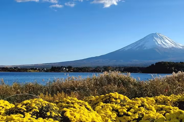 Scenic view of Mt. Fuji from Yokohama Port, framed by vibrant yellow flowers and a tranquil lake.