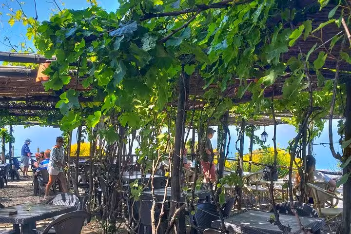 Scenic vineyard dining area with lush grapevines, offering a tranquil setting near Mt. Vesuvius.