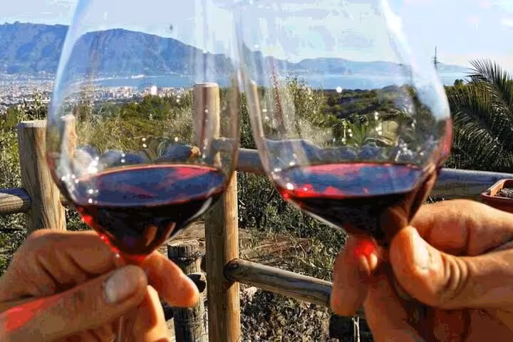 Toasting with red wine at a vineyard overlooking Mt. Vesuvius, perfect for a scenic Naples day tour.