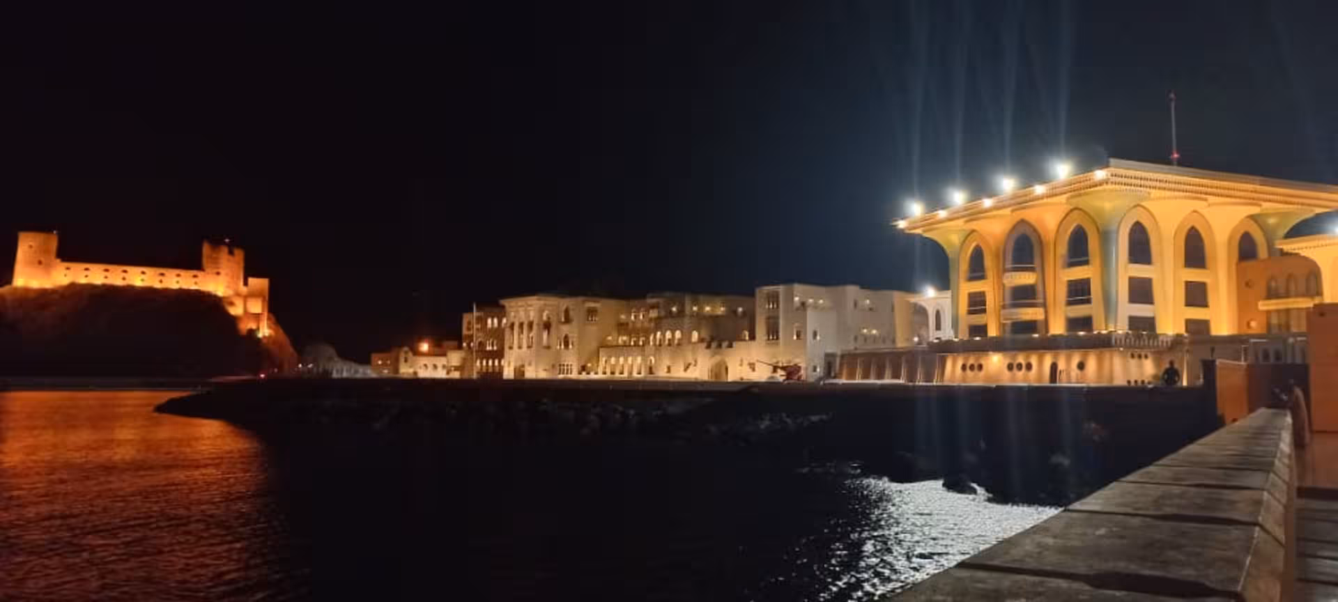 Night view of Al Alam Palace and illuminated fort reflected in Muscat harbor on a private half day city tour in Oman