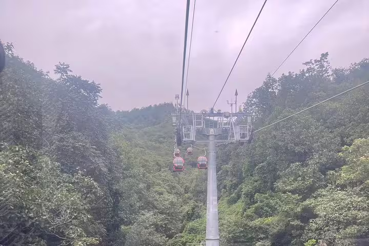 Scenic view of cable cars gliding over lush forests during Mutianyu Great Wall private day trip with English-speaking driver.