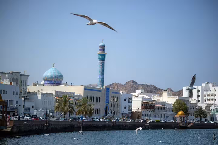 Waterfront view of Mutrah Corniche, blue-tiled mosque and seagulls seen on the Premier Classic Muscat private cab tour