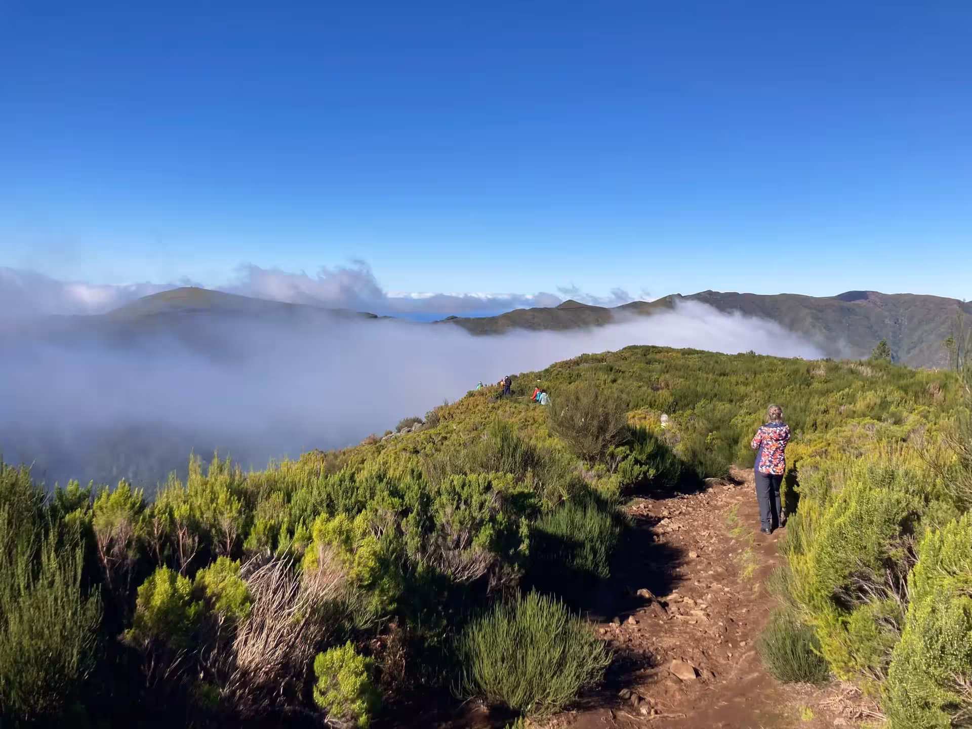 Hiker on a scenic trail with misty mountains and lush greenery on The Mystical Hike adventure tour.