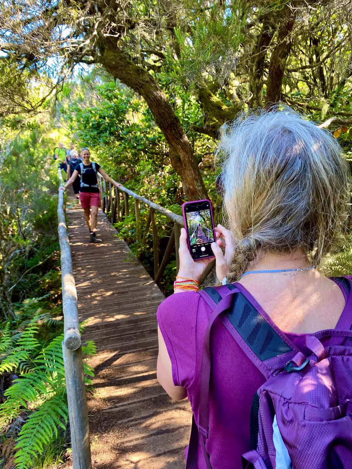 Hiker captures the beauty of a wooden bridge and lush forest on The Mystical Hike, perfect for nature enthusiasts.