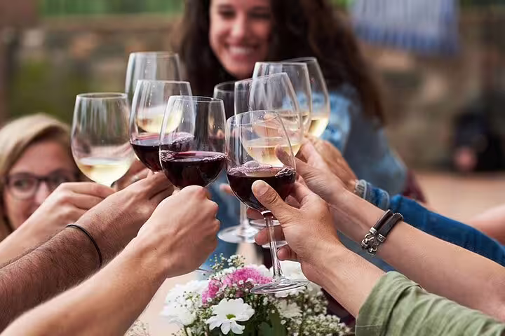 Friends clinking red and white wine glasses during Nafplio wine tasting tour via Corinth Canal, Greece