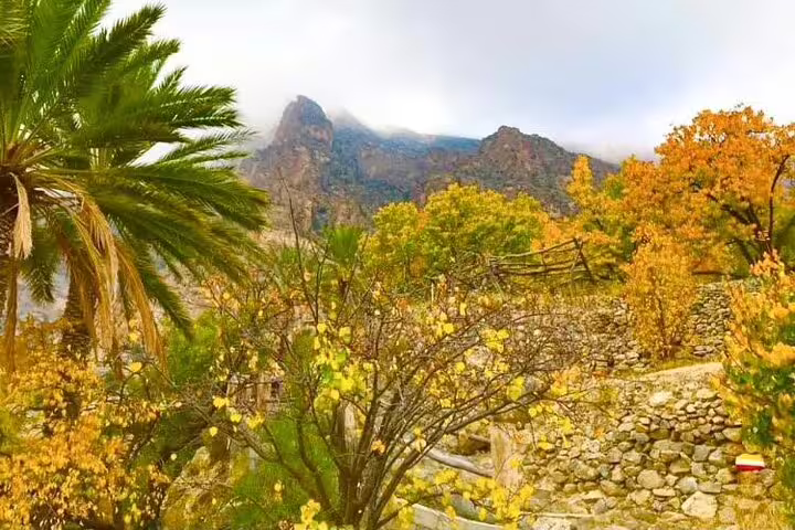 Vibrant autumn foliage and palm trees at Wakan Village with misty mountains on a Nakhal Hotspring tour.