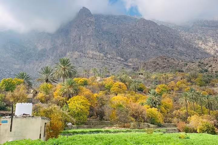 Lush greenery and vibrant autumn foliage in Wakan Village with majestic mountains, ideal for nature enthusiasts.
