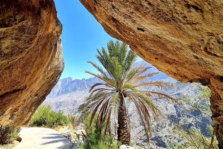 Scenic view of a palm tree framed by rocky cliffs in Wakan Village on the Nakhal Hotspring full day tour.