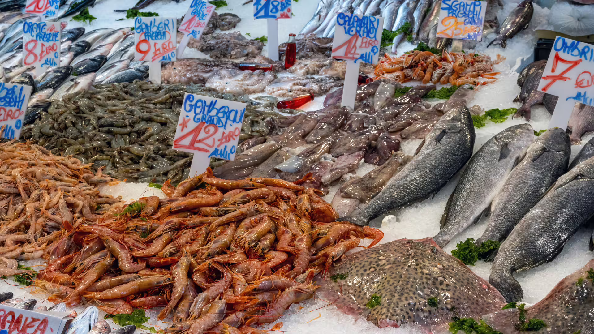 Banco di pesce fresco e frutti di mare al Mercato della Pignasecca di Napoli, con gamberi, orate e seppie su ghiaccio