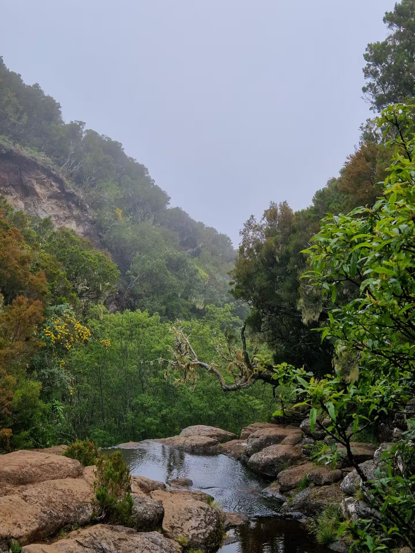 Serene view of rocky waterfall surrounded by dense green foliage on the Natural Waterfalls’ Hike.