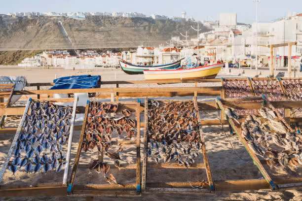 Traditional drying fish racks on Nazaré beach with colorful fishing boats and scenic coastal backdrop.