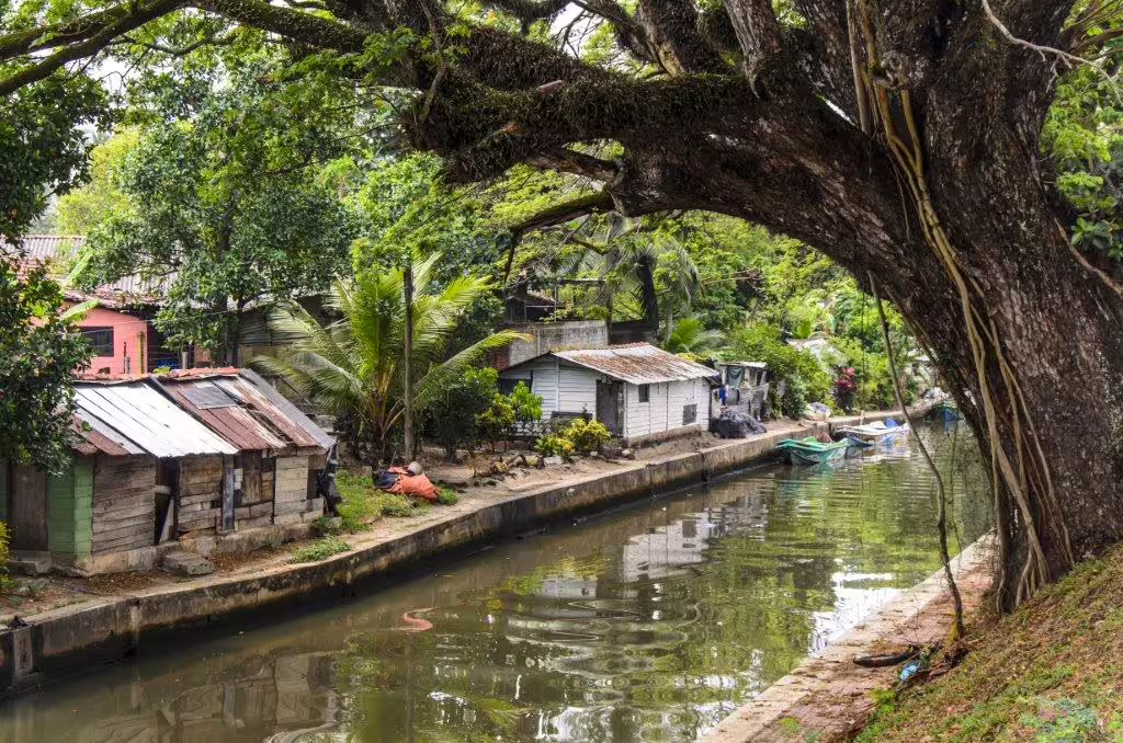 Charming canal view in Negombo with rustic houses and lush greenery, perfect for a tranquil city escape.