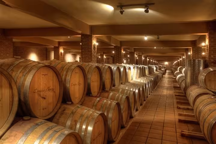 Wine cellar barrels in Nemea near Nafplio, optional tasting on Epidaurus Corinth Canal private luxury tour