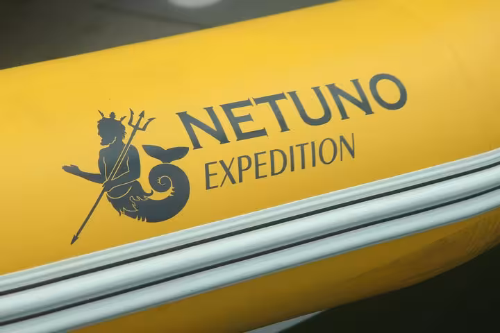 Close-up of the Netuno Expedition logo on a bright yellow boat, highlighting adventure tours in Saco Mamanguá Fjord.