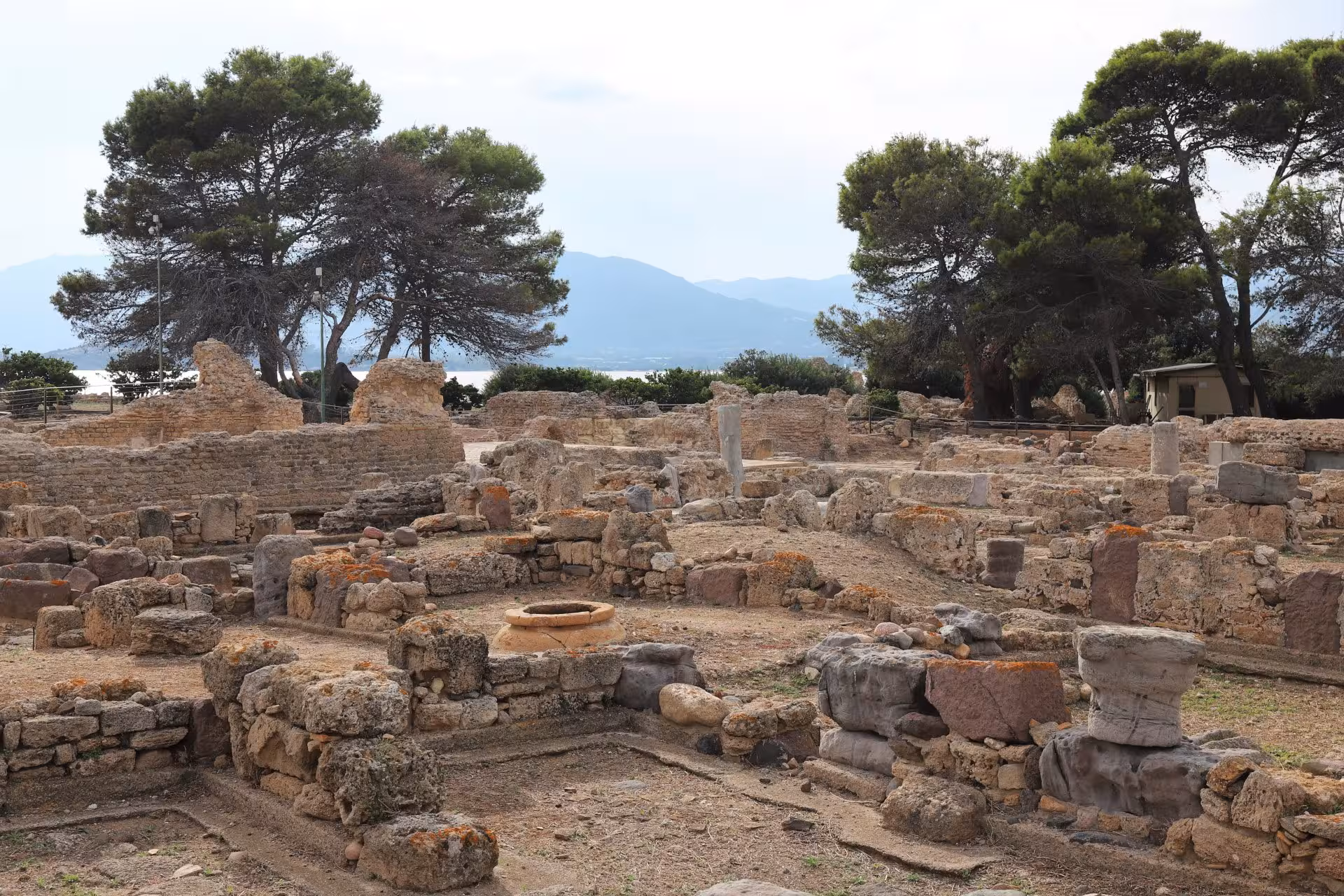 Explore ancient stone ruins surrounded by lush trees at the archaeological site of Nora near Cagliari, Italy.