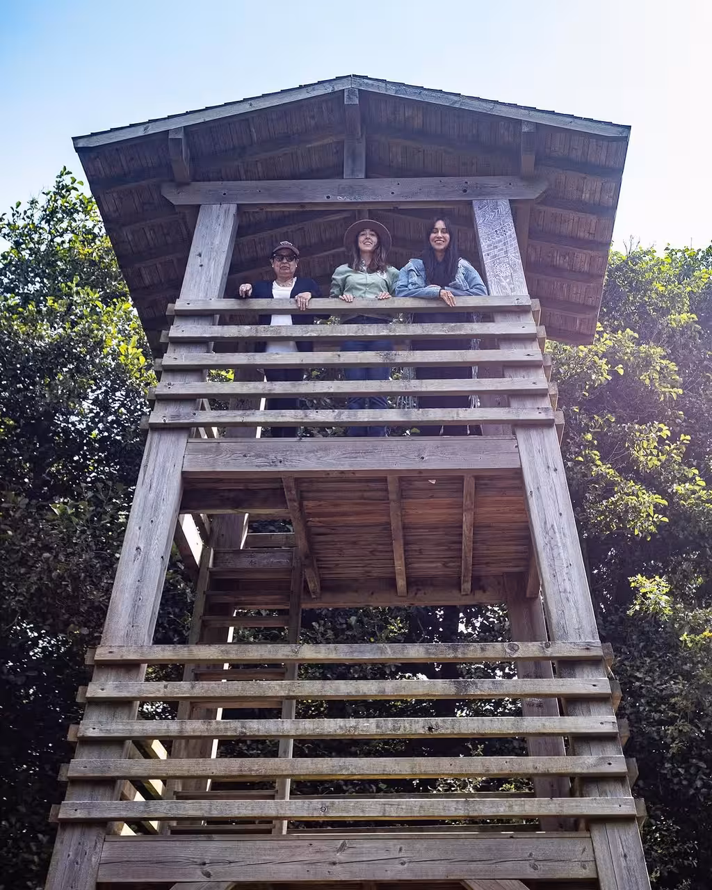Guests on a wooden birdwatching tower during North Coast Birdwatching Adventure vintage car tour