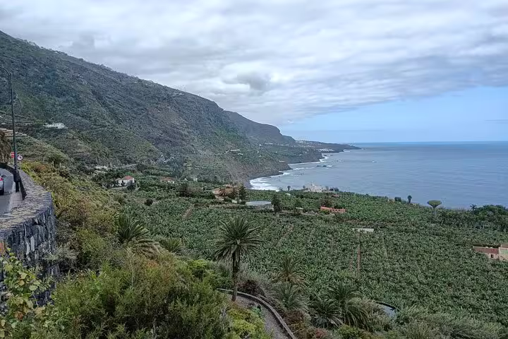 Lush green valleys and rugged cliffs along the north coast of Tenerife under a cloudy sky.