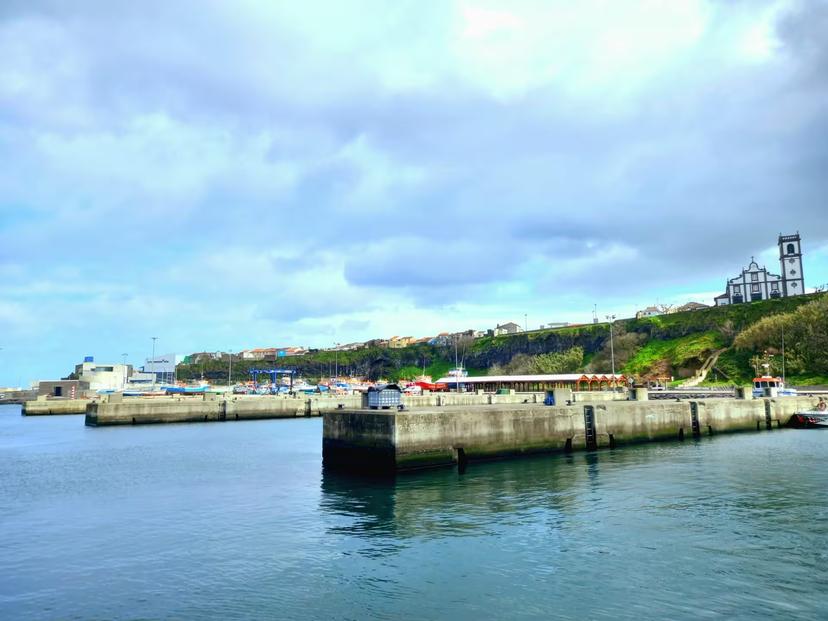 North Coast harbor departure point for whale watching expedition, calm marina waters and coastal village skyline