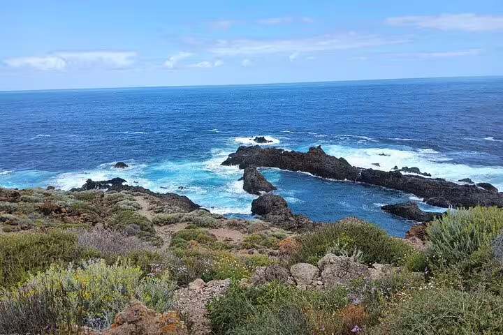 Rocky coastline with vibrant blue waters and lush vegetation on a North Tenerife private tour.
