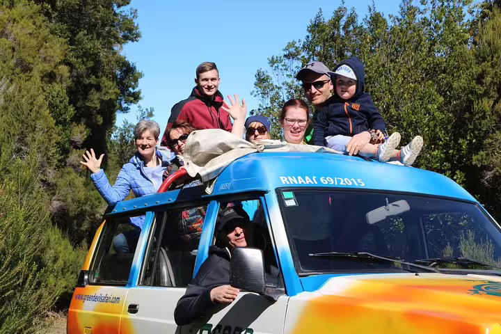 Group enjoying a scenic 4x4 tour in Santana, surrounded by lush greenery on the Northeast meet the locals adventure.