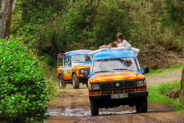 Off-road jeeps navigate lush forests on a full-day guided tour exploring the natural beauty and charm of Northeast Madeira.
