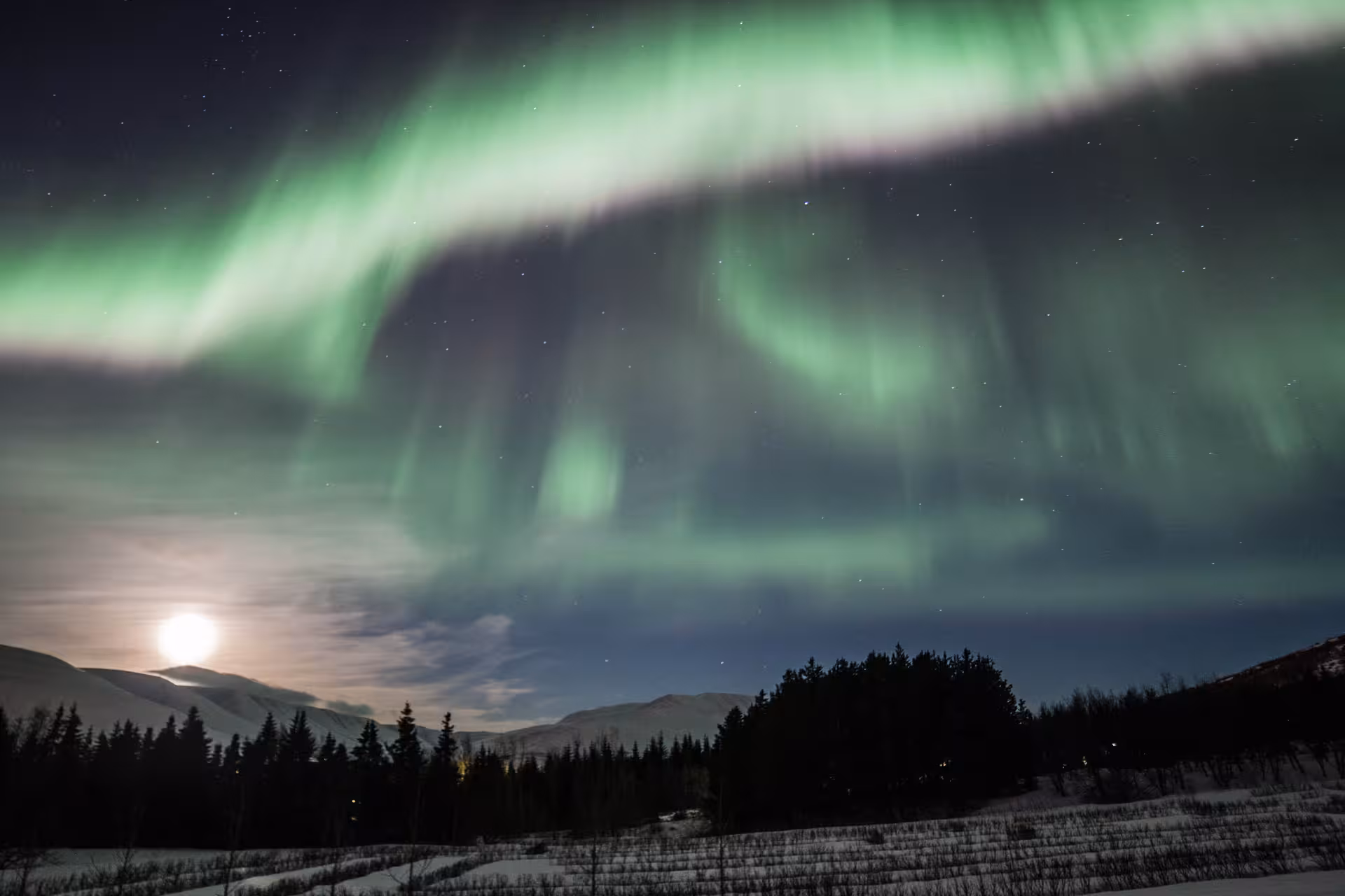 Majestic Northern Lights over snowy hills and forest, perfect for private aurora borealis tour bookings.