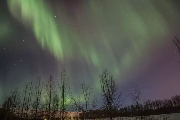 Vibrant Northern Lights illuminating the night sky over a winter forest near Akureyri, ideal for a classic Iceland tour.