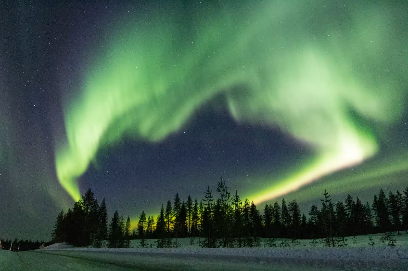 Vibrant green Northern Lights dancing over a snowy forest landscape, perfect for a Northern Light hunting photo tour.