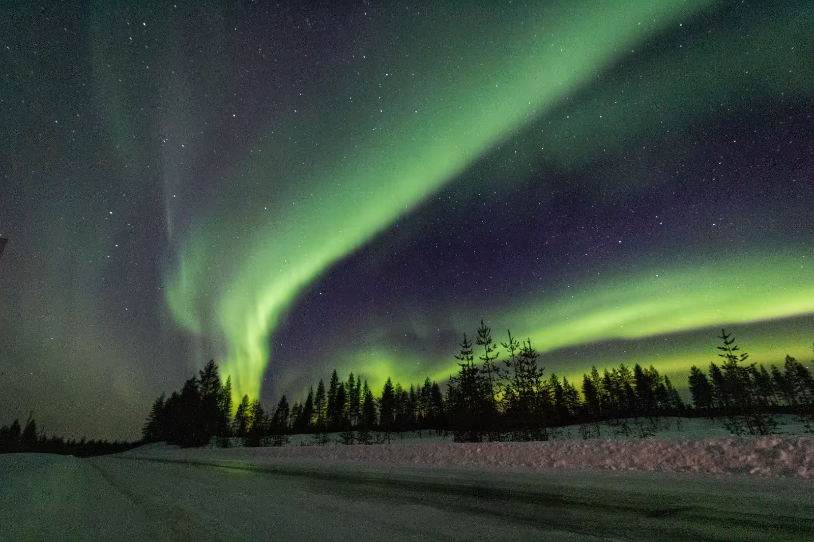 Stunning Northern Lights illuminate a snowy forest landscape, perfect for a Northern Light Hunting Photo Tour adventure.