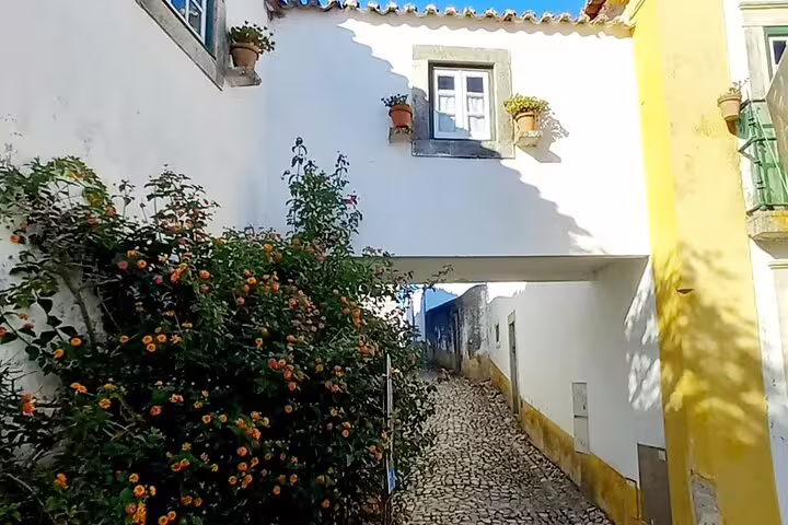 Charming cobblestone alley with blooming flowers in Obidos, perfect for exploring on the Fatima-Nazare-Obidos tour.