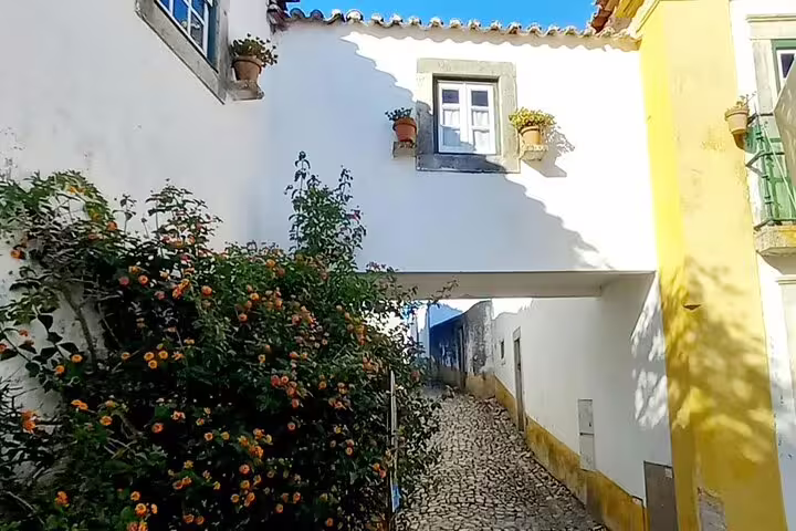 Picturesque cobblestone alley in Obidos with flowerpots, perfect for exploring on a Fatima-Nazare-Obidos private tour.